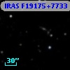 IRAS F19175+7733