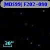 [MDS99] F202-080