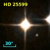 HD  25599