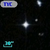 TYC 8073-919-1