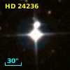 HD  24236