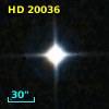 HD  20036