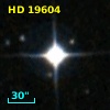 HD  19604