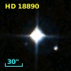 LTT  1442
