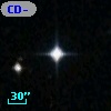 CD-45   919