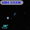 LEDA  125336