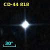 CD-44   818