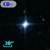 CD-45   894