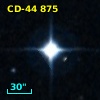 CD-44   875