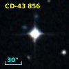 CD-43   856