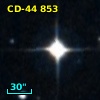 CD-44   853