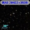 IRAS 20422+3839