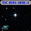 TYC 4591-1036-1