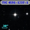 TYC 4591-1237-1