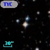 TYC 7697-699-1