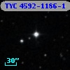 TYC 4592-1186-1