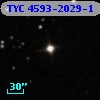 TYC 4593-2029-1