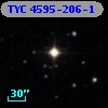 TYC 4595-206-1