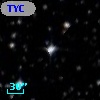 TYC 7704-448-1
