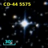 CD-44  5575