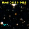IRAS 09134-4455