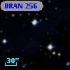 BRAN 256
