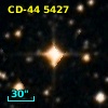 CD-44  5427