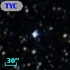 TYC 7703-1031-1