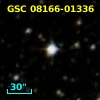 GSC 08166-01336