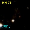 HH  75