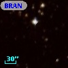 BRAN 235