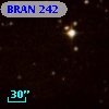 BRAN 242