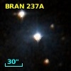 BRAN 237A