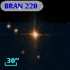 BRAN 220