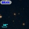 BRAN 223
