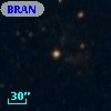 BRAN 229