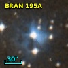 BRAN 195A