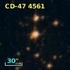 CD-47  4561