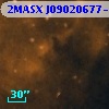 2MASX J09020677-4843267