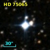 HD  75065