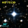 HD  75130