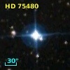 HD  75480