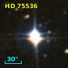 HD  75536