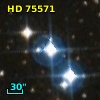 HD  75571