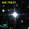 HD  75677