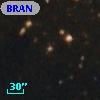 BRAN 194