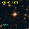 CD-47  4373
