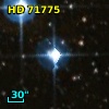 HD  71775