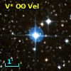 V* OO Vel