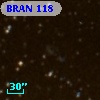 BRAN 118